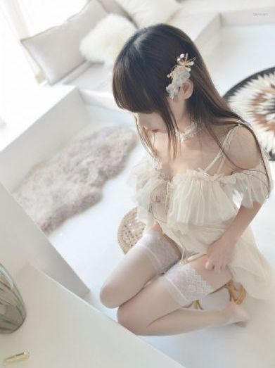 精灵森林动漫_1080P高清视频播放