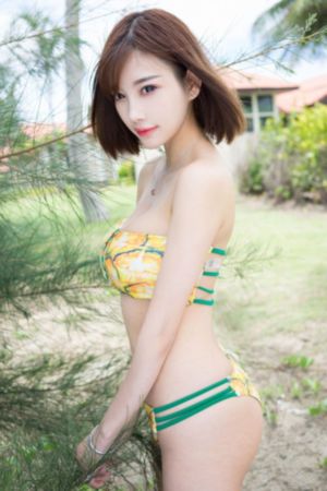 杨家将全集_720在线视频播放