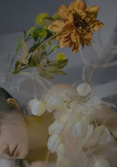 箱中女在线观看_HD神马在线观看