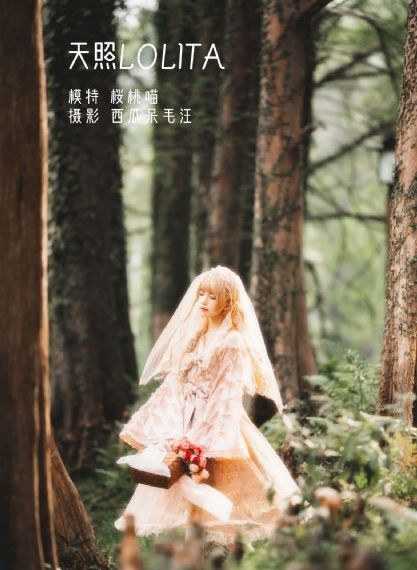vip电视剧免费追剧大全在线观看_高清完整版